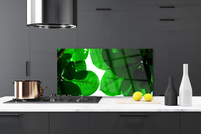 Painel vidro cozinha Folhas na Parede