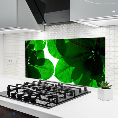 Painel vidro cozinha Folhas na Parede