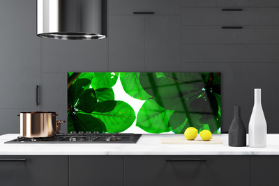 Painel vidro cozinha Folhas na Parede