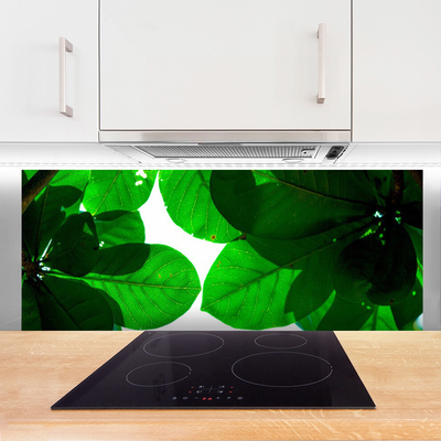 Painel vidro cozinha Folhas na Parede