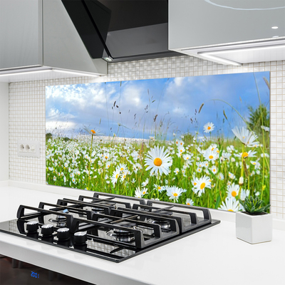 Painel vidro cozinha Natureza do Prado Daisy