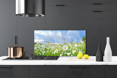 Painel vidro cozinha Natureza do Prado Daisy