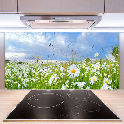 Painel vidro cozinha Natureza do Prado Daisy