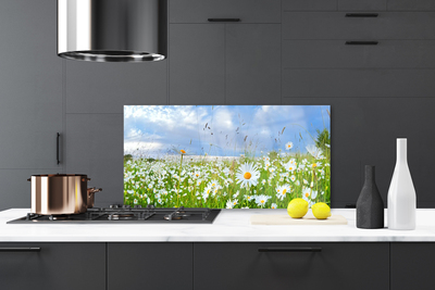 Painel vidro cozinha Natureza do Prado Daisy