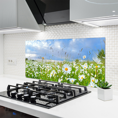 Painel vidro cozinha Natureza do Prado Daisy