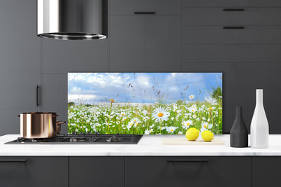 Painel vidro cozinha Natureza do Prado Daisy