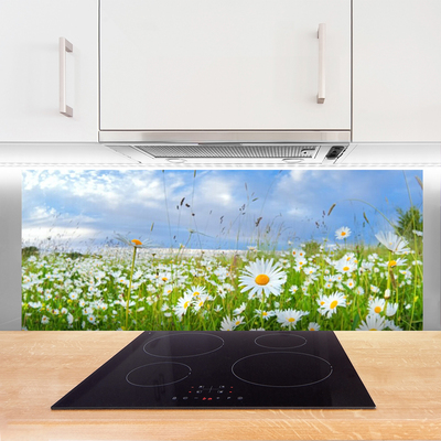Painel vidro cozinha Natureza do Prado Daisy