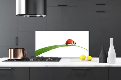 Painel vidro cozinha Joaninha Natureza