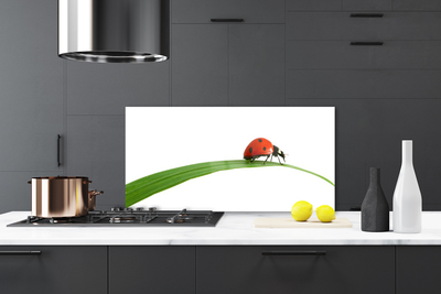 Painel vidro cozinha Joaninha Natureza