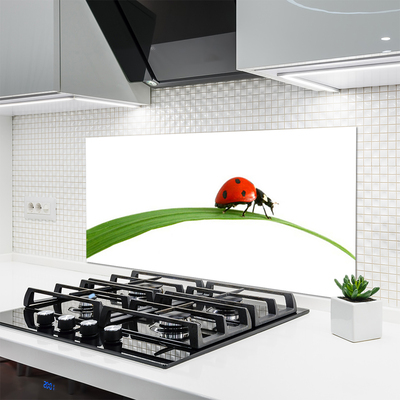 Painel vidro cozinha Joaninha Natureza