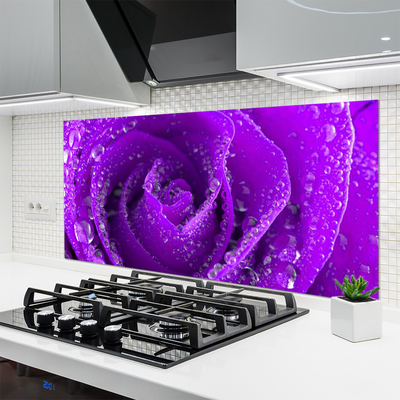 Painel vidro cozinha Planta de flor de rosa