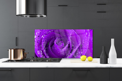 Painel vidro cozinha Planta de flor de rosa