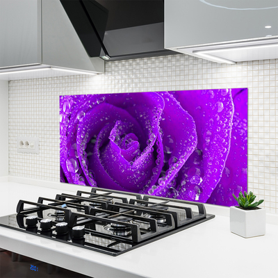 Painel vidro cozinha Planta de flor de rosa