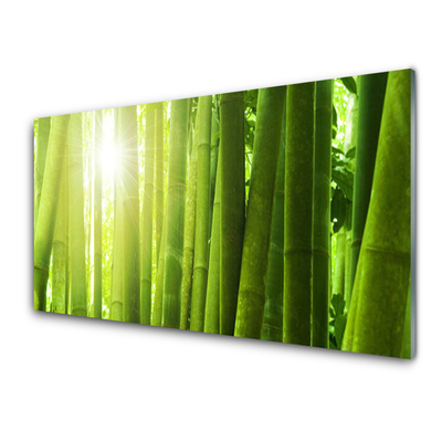 Painel vidro cozinha Planta de bambu