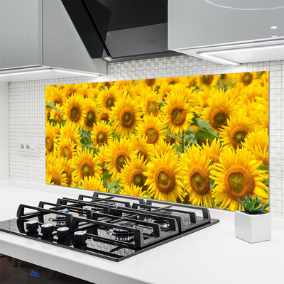 Painel vidro cozinha Natureza da planta de girassol