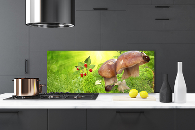 Painel cozinha Cogumelos Frutas Morangos