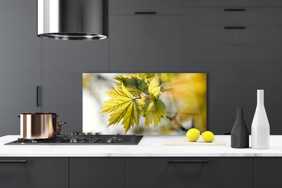 Painel vidro cozinha Folhas Planta
