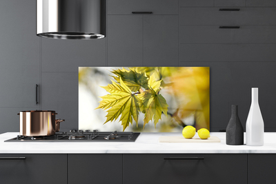 Painel vidro cozinha Folhas Planta