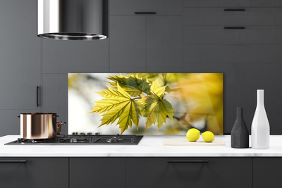 Painel vidro cozinha Folhas Planta