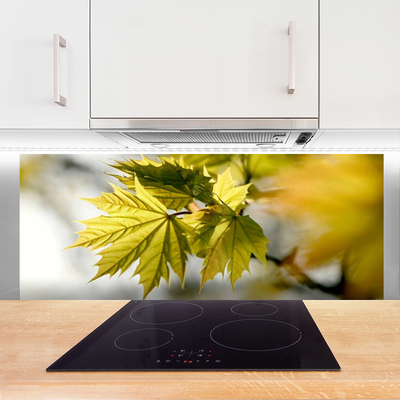 Painel vidro cozinha Folhas Planta