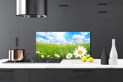 Painel vidro cozinha Natureza da grama margarida