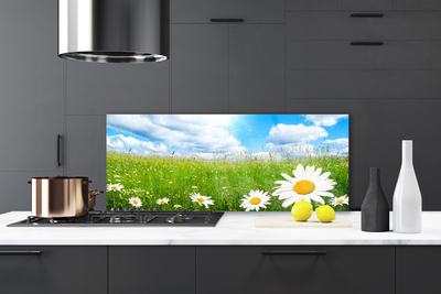 Painel vidro cozinha Natureza da grama margarida