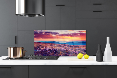 Painel vidro cozinha Prado Montanha Flores Natureza