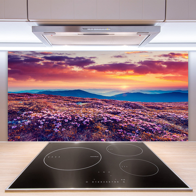 Painel vidro cozinha Prado Montanha Flores Natureza