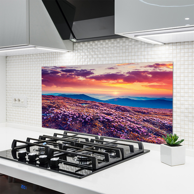 Painel vidro cozinha Prado Montanha Flores Natureza