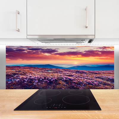 Painel vidro cozinha Prado Montanha Flores Natureza