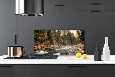 Painel vidro cozinha Lago Floresta Natureza Água