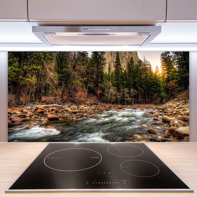 Painel vidro cozinha Lago Floresta Natureza Água