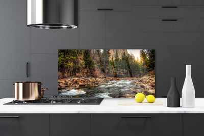 Painel vidro cozinha Lago Floresta Natureza Água