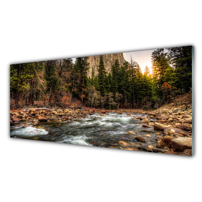 Painel vidro cozinha Lago Floresta Natureza Água