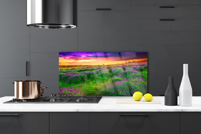 Painel vidro cozinha Prado da Natureza