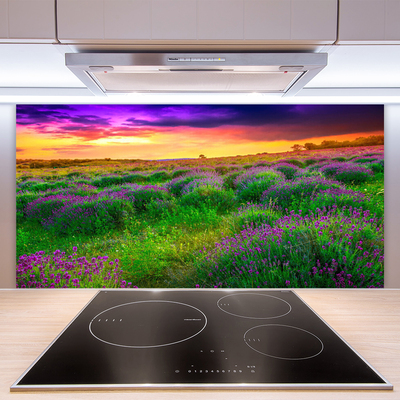 Painel vidro cozinha Prado da Natureza