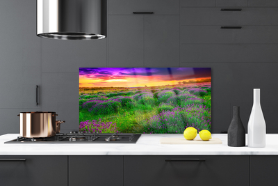 Painel vidro cozinha Prado da Natureza