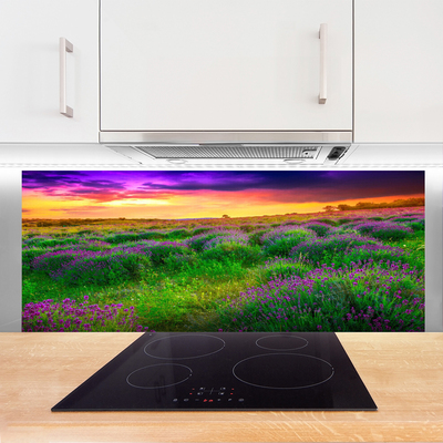 Painel vidro cozinha Prado da Natureza