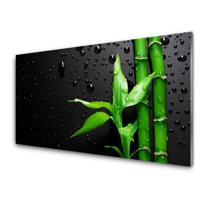 Painel cozinha Planta de folhas de bambu