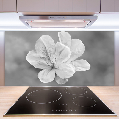 Painel vidro cozinha Planta de flores