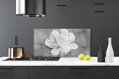 Painel vidro cozinha Planta de flores