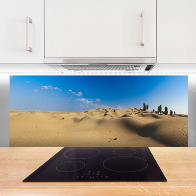 Painel vidro cozinha Paisagem desértica de areia