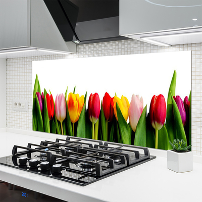 Painel vidro cozinha Planta de tulipas