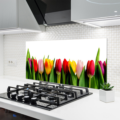 Painel vidro cozinha Planta de tulipas