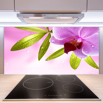 Painel vidro cozinha Flor Folhas Planta