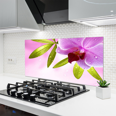 Painel vidro cozinha Flor Folhas Planta