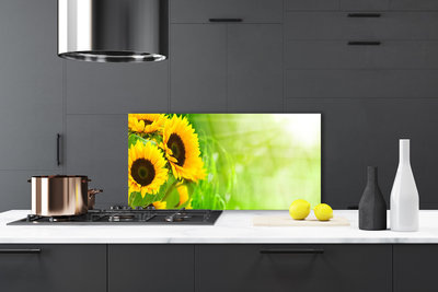 Painel cozinha Planta de Girassol