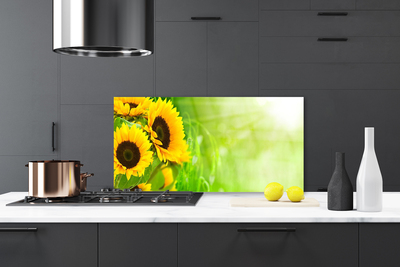 Painel cozinha Planta de Girassol