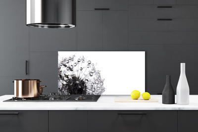 Painel vidro cozinha Planta dente-de-leão