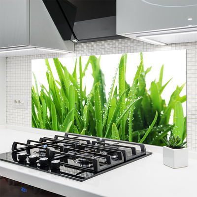 Painel vidro cozinha Planta de grama